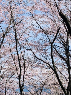 熊野神社⑤.jpg