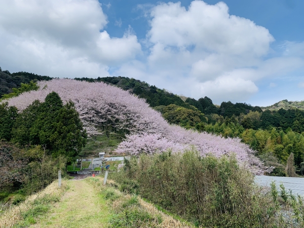 熊野神社①.jpg