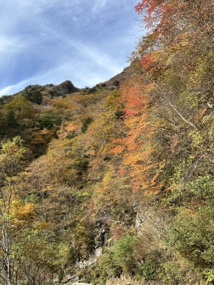 2025-11-04 10.03.46.jpg