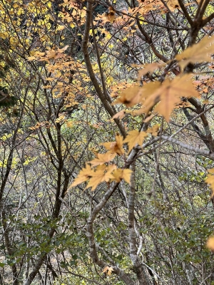 2025-11-04 10.04.15.jpg