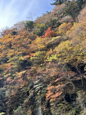 2025-11-04 10.04.44.jpg