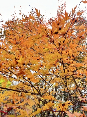 2025-11-04 10.05.36.jpg