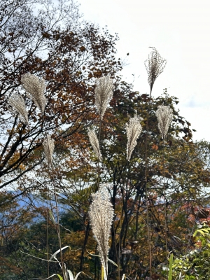 2025-11-04 10.07.41.jpg