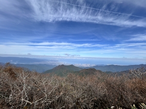 2025-11-04 11.04.51.jpg