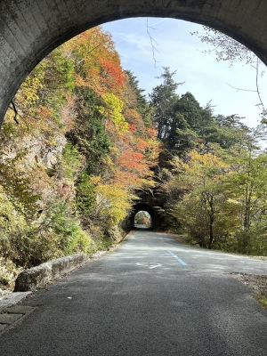 2025-11-04 12.47.11.jpg