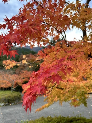 2025-11-12 07.57.18.jpg