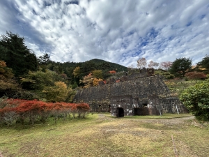 2025-11-12 08.01.00.jpg