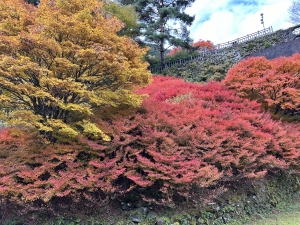 2025-11-12 08.02.11.jpg