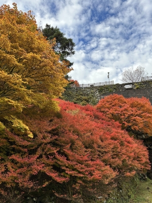 2025-11-12 08.02.17.jpg