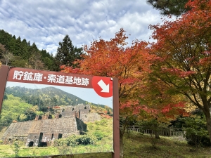 2025-11-12 08.04.59.jpg