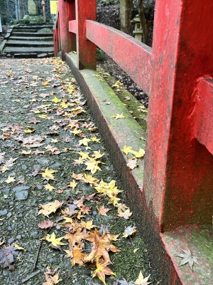 2025-11-27 09.41.33.jpg