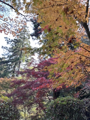 2025-11-27 09.54.26.jpg