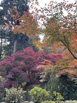 2025-11-27 09.55.00.jpg