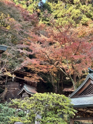 2025-11-27 09.58.41.jpg