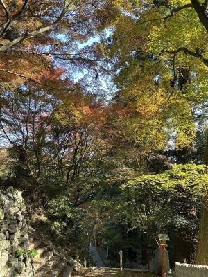 2025-11-27 10.00.16.jpg