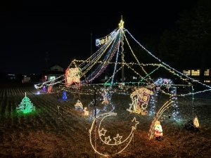 2025-12-16 19.51.16.jpg