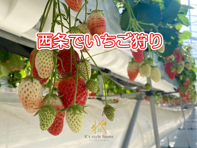いちご狩り①.jpg