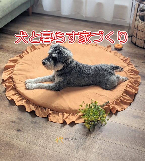 犬と暮らす①.jpg
